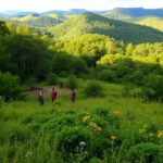 How to Clear Land Without Harming Wildlife in Fairfield